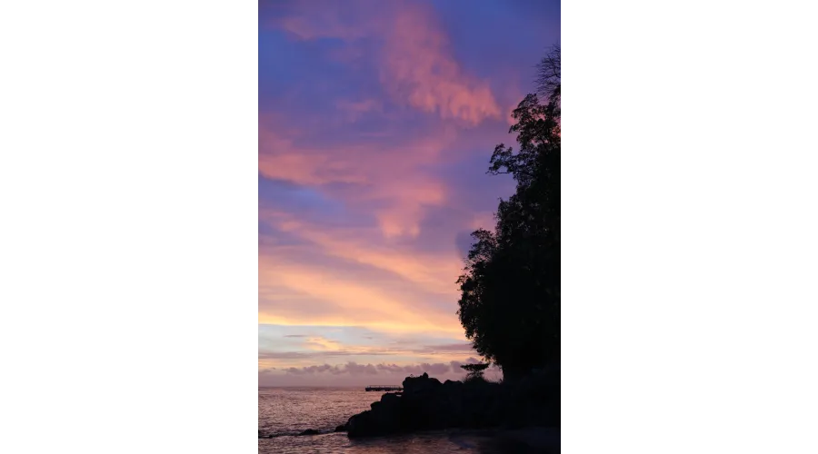 Beach+Mountains+Jungle=Anse Chastanet