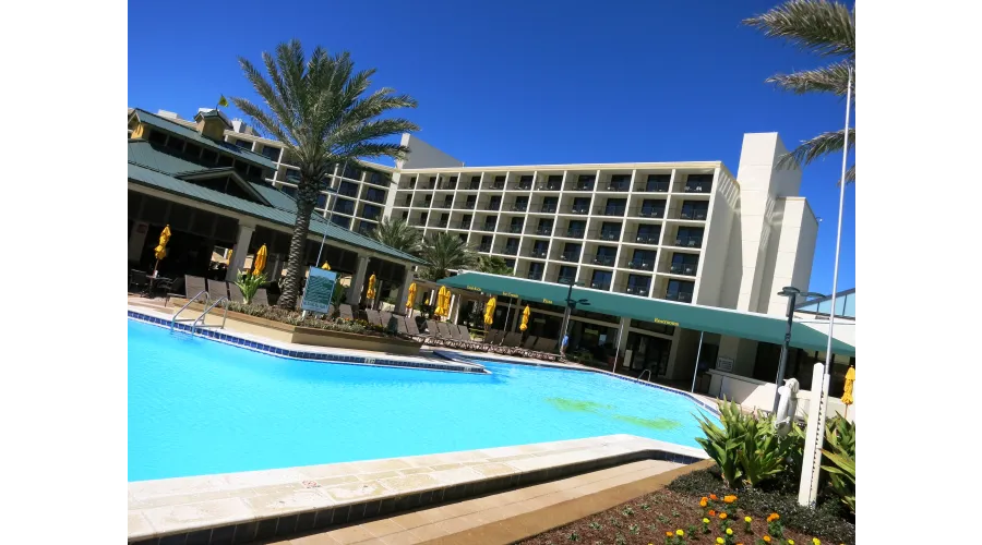It's Your Destin-y