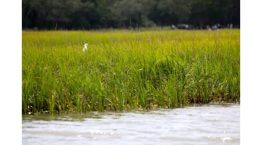 The Sanctuary at Kiawah Island