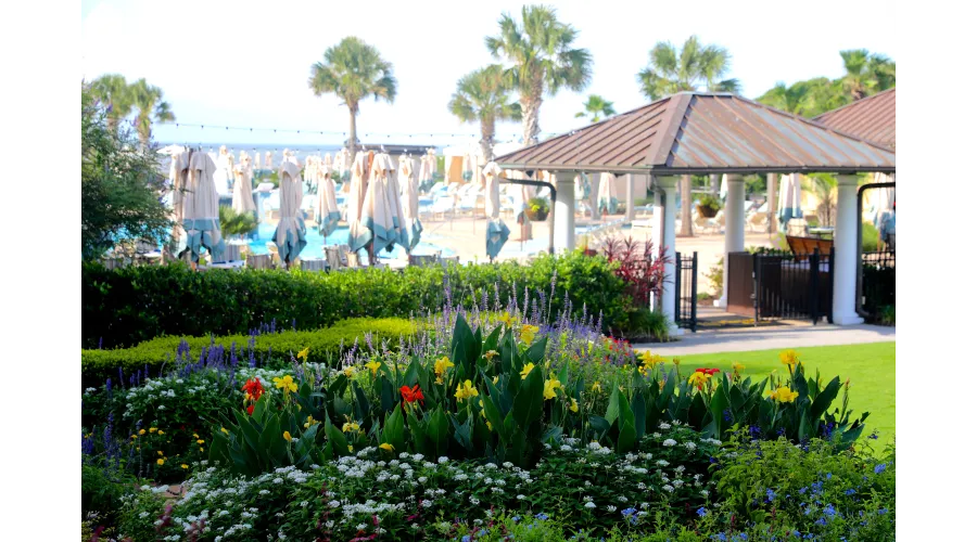 Charleston:  Above and Below the Surface