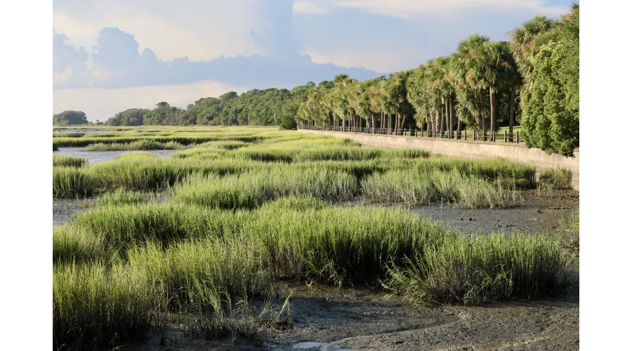 Jekyll Island, I Presume?