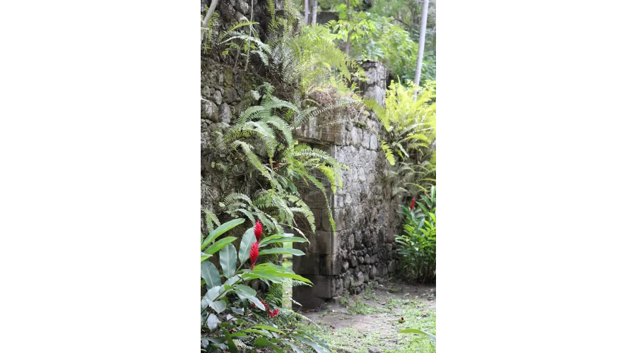 Beach+Mountains+Jungle=Anse Chastanet