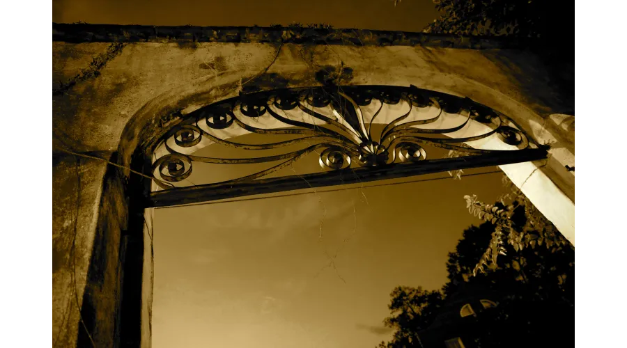 Charleston:  Above and Below the Surface