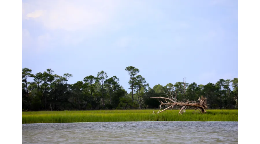 The Sanctuary at Kiawah Island