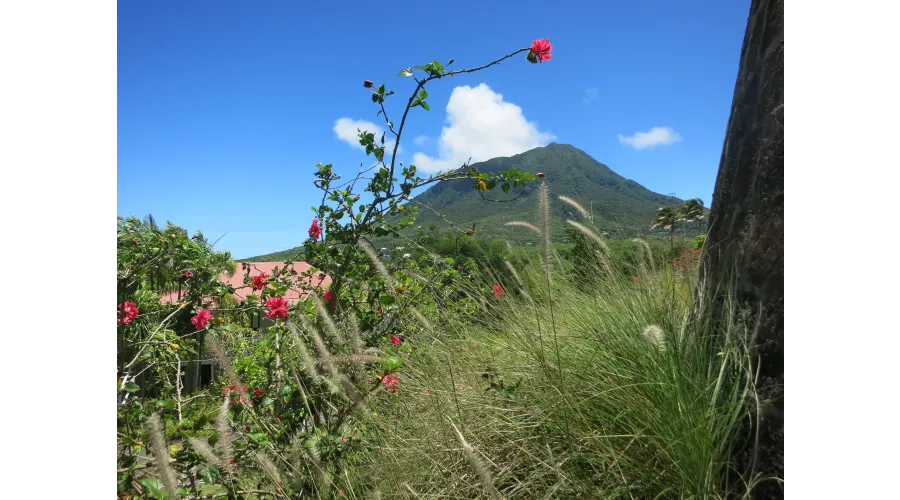 Limin on Nevis