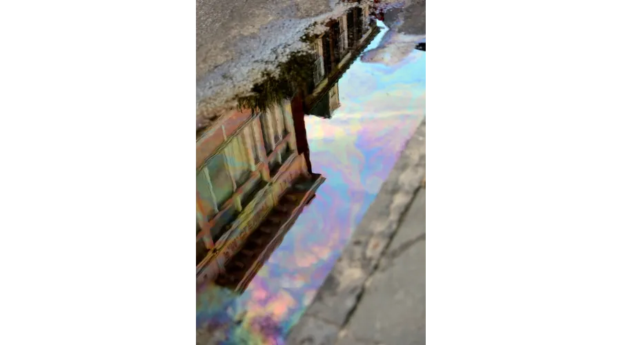 Charleston:  Above and Below the Surface