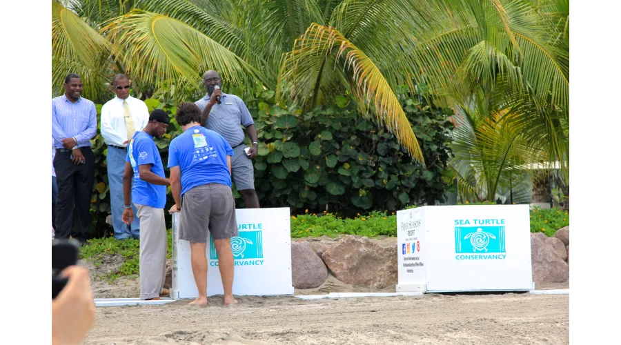Limin on Nevis