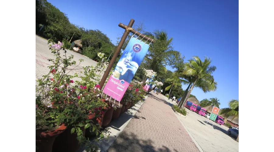 Acting Your Age in Cancun--A Spring Break for Adults