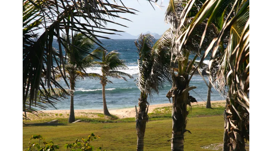 You say Sint Maarten, I say Saint-Martin
