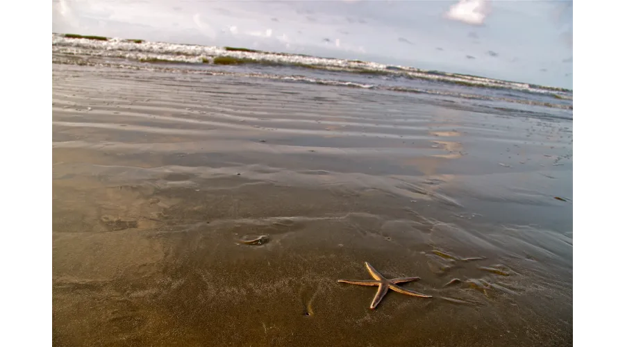 The Sanctuary at Kiawah Island