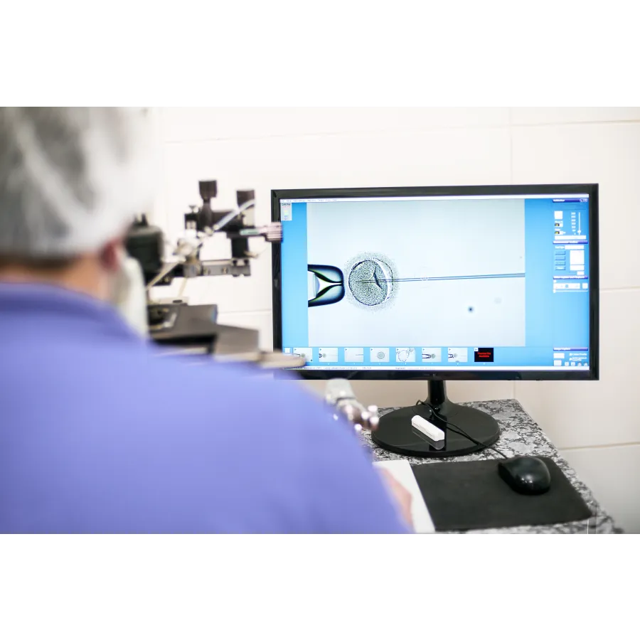 a person working on a computer