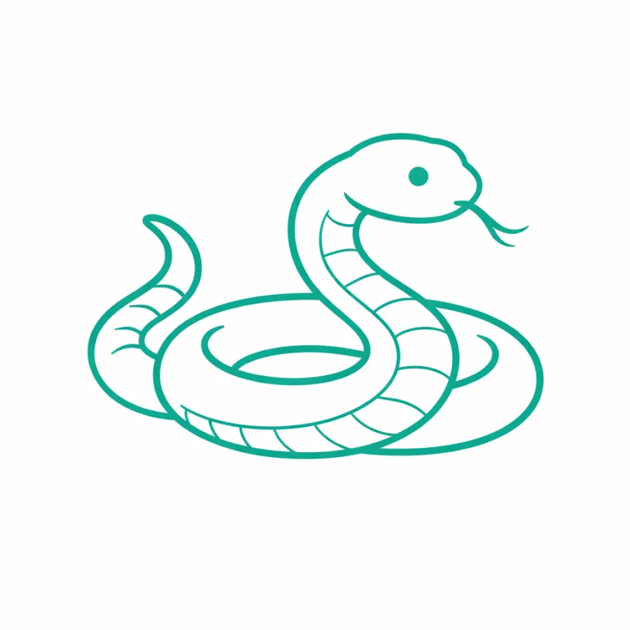 Simple teal line drawing of a coiled snake with tongue flicking out on white background.