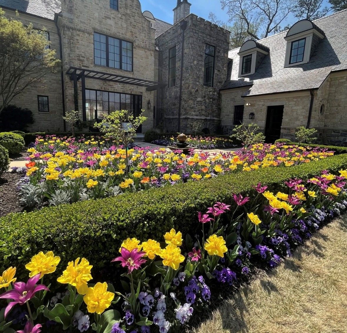 An elegant estate courtyard framed by stone walls features neatly trimmed hedges and colorful flower beds filled with yellow, pink, and purple tulips under sunny blue skies.