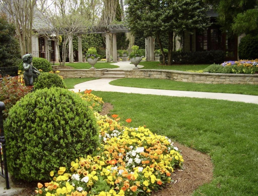 a close up of a flower garden