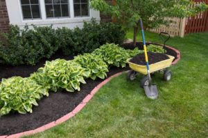 a wheelbarrow with dirt in it