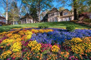 colorful flowers in front of a house