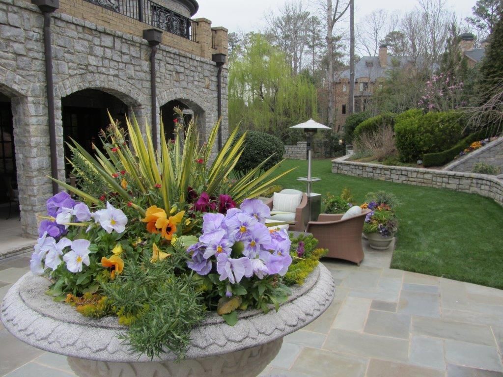 closeup of a flower garden