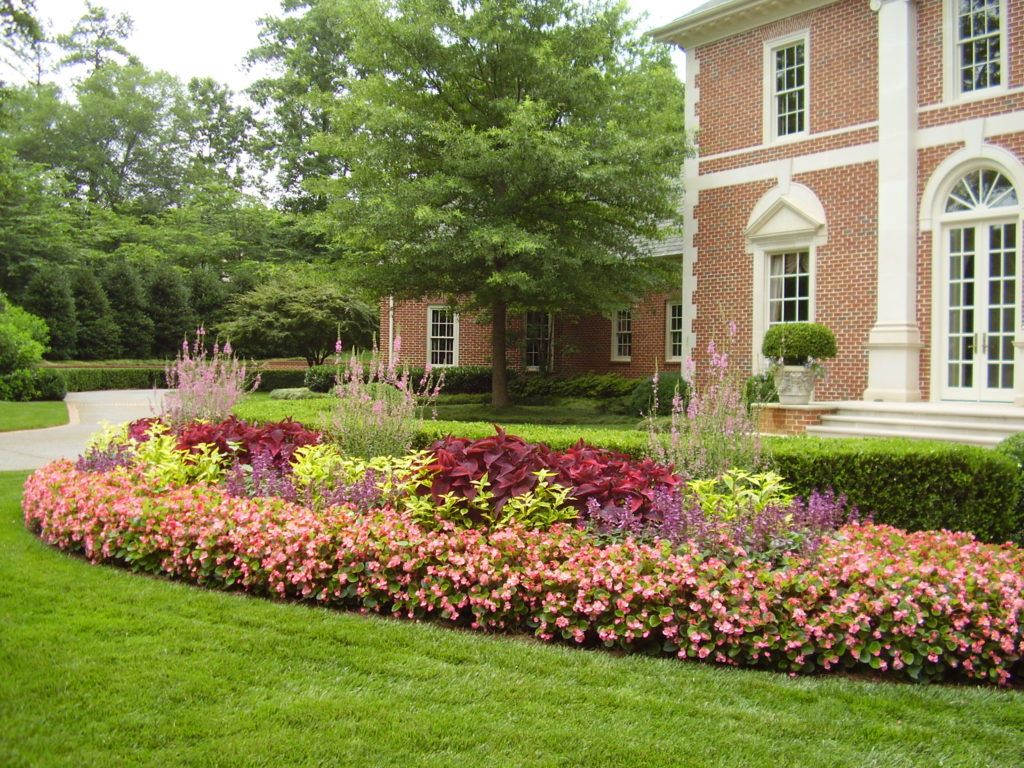 a closeup of a flower garden in front of a building