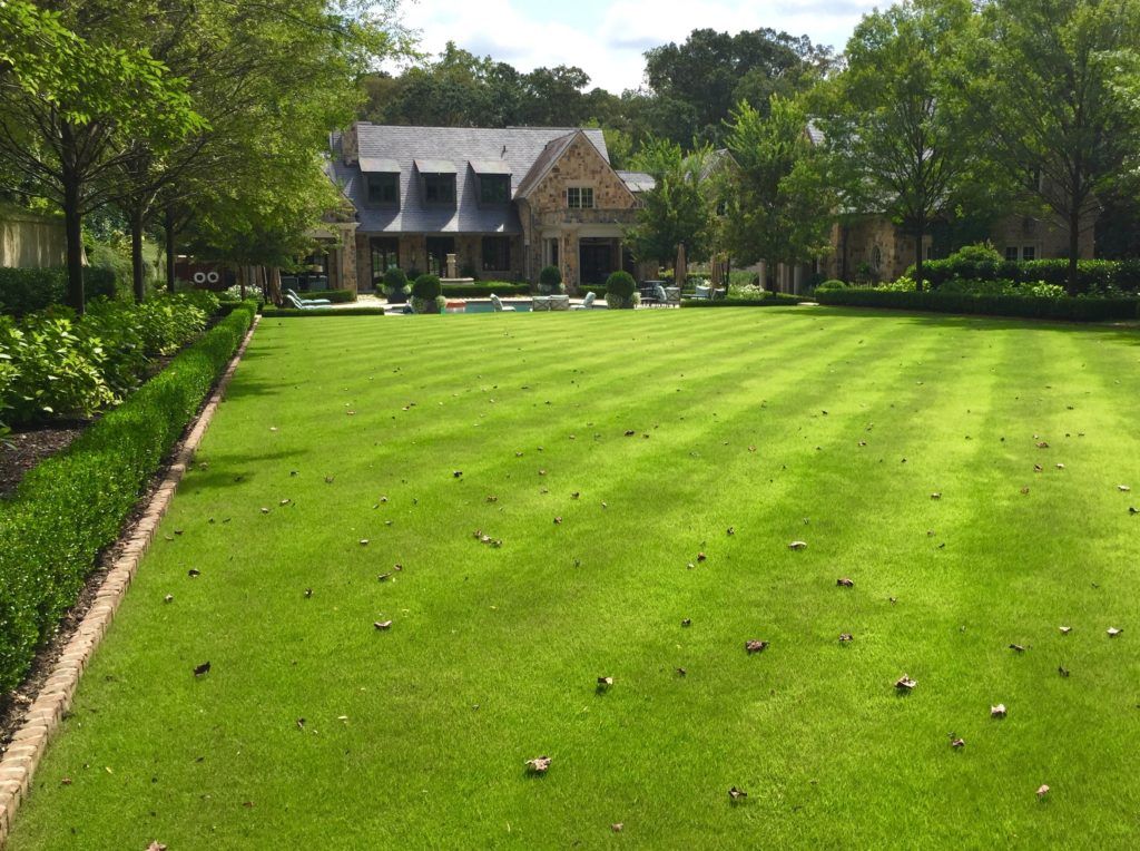 a green field behind a house