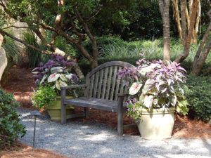 plants around a bench