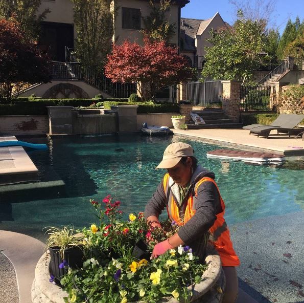 a person working with plants