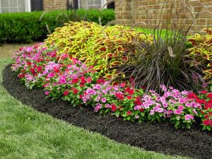 mulch in a lawn