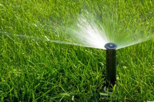 a sprinkler in a lawn