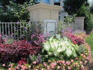 plants in front of a business sign