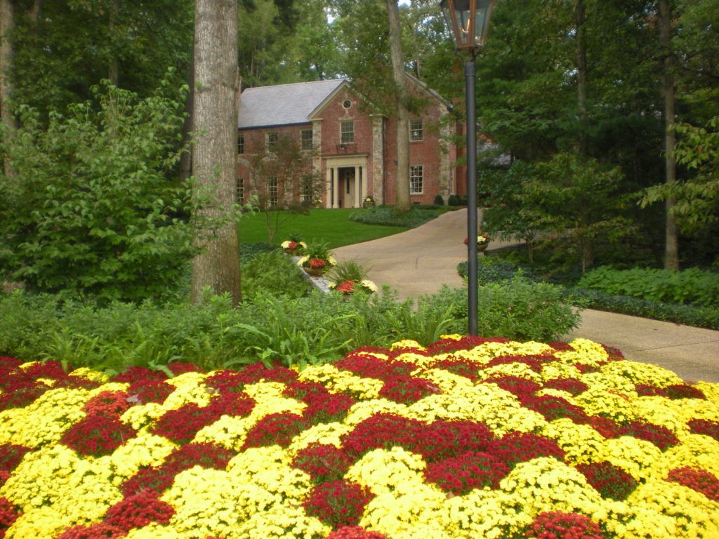 red and yellow plants in front of a house