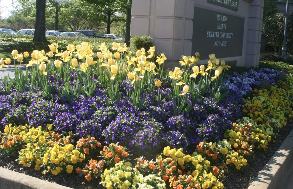 flowers around a building sign