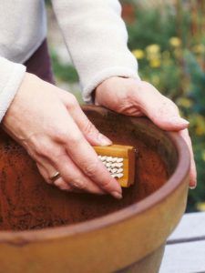 outdoor pot cleaning