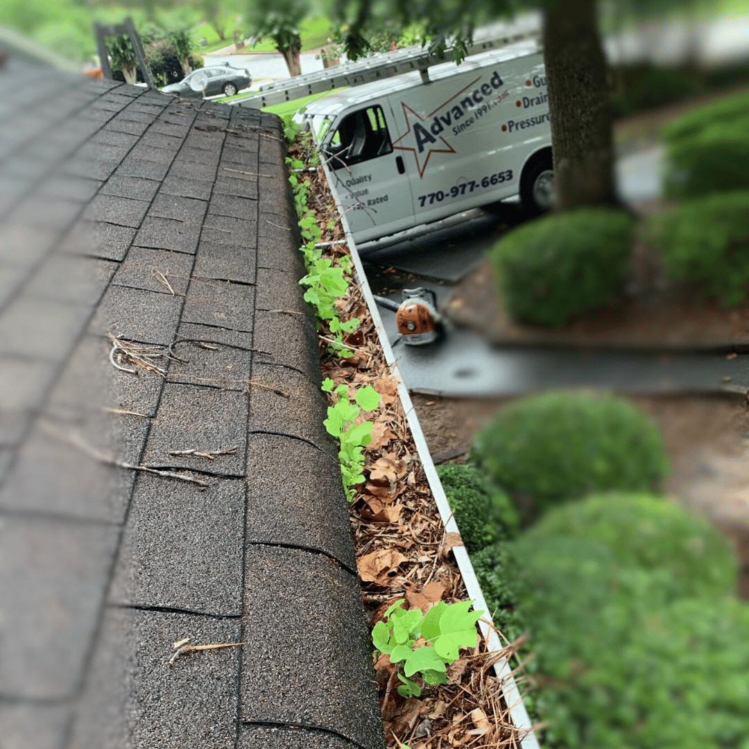 Gutters with young trees starting to grow out of them with an Advanced Pressure and Gutter Cleaning van in the background