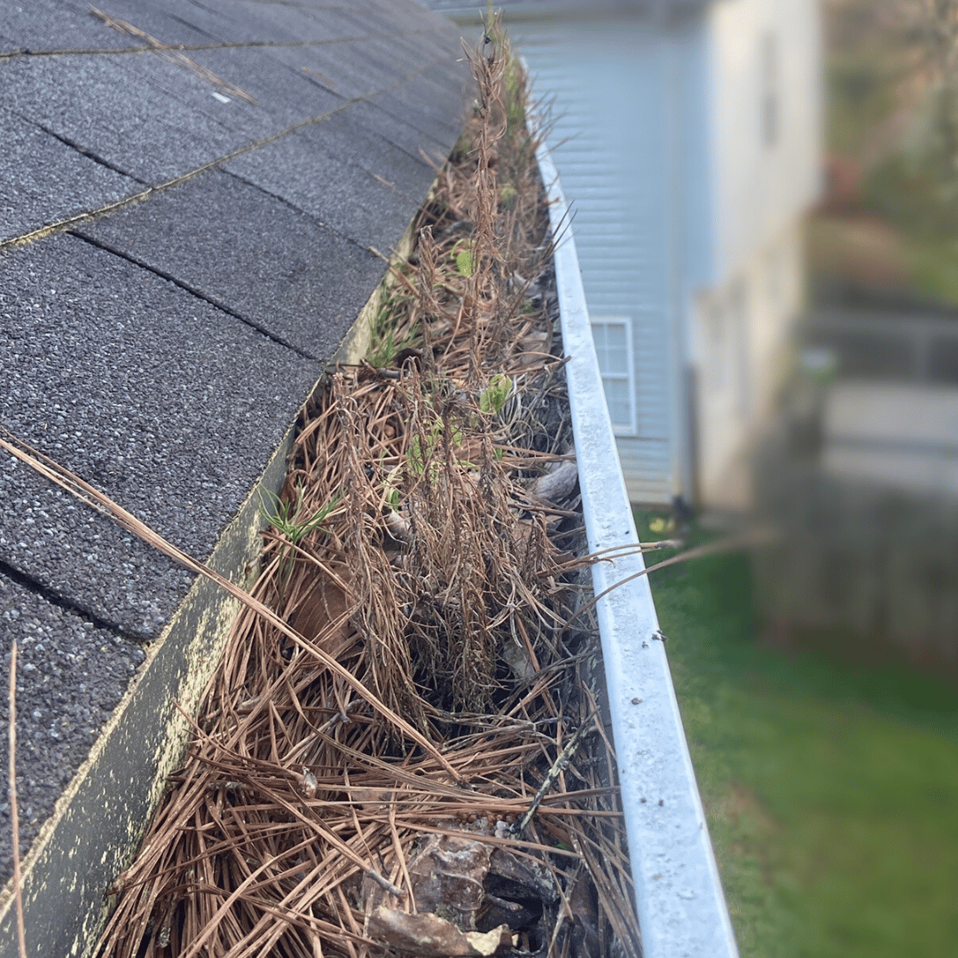 Gutter system full of debris that needs cleaning