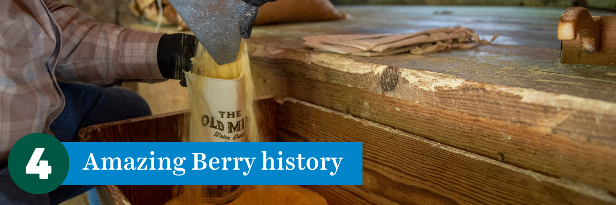 4. Amazing Berry history