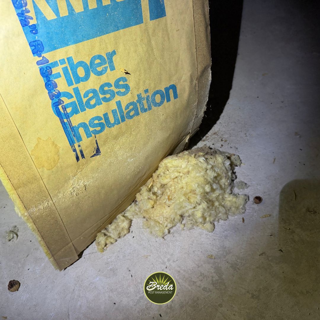 Yellow fiberglass insulation torn and scattered on a concrete floor next to its packaging in a dimly lit area.