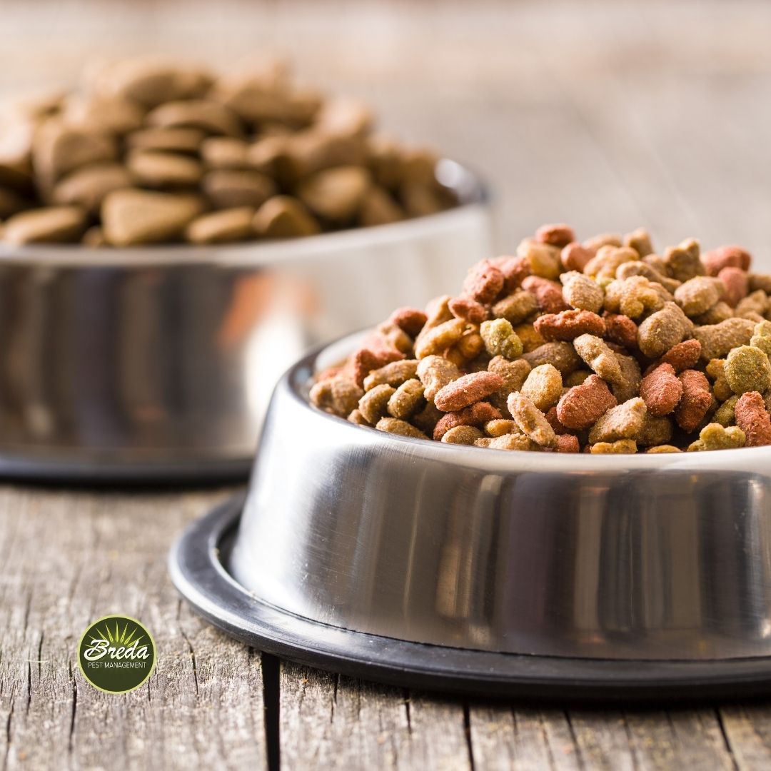 close up picture of dog bowls with dry dog food ant control in Georgia