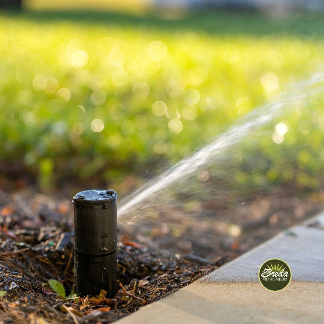 close up picture of an active sprinkler head backyard mosquito control in Grayson GA