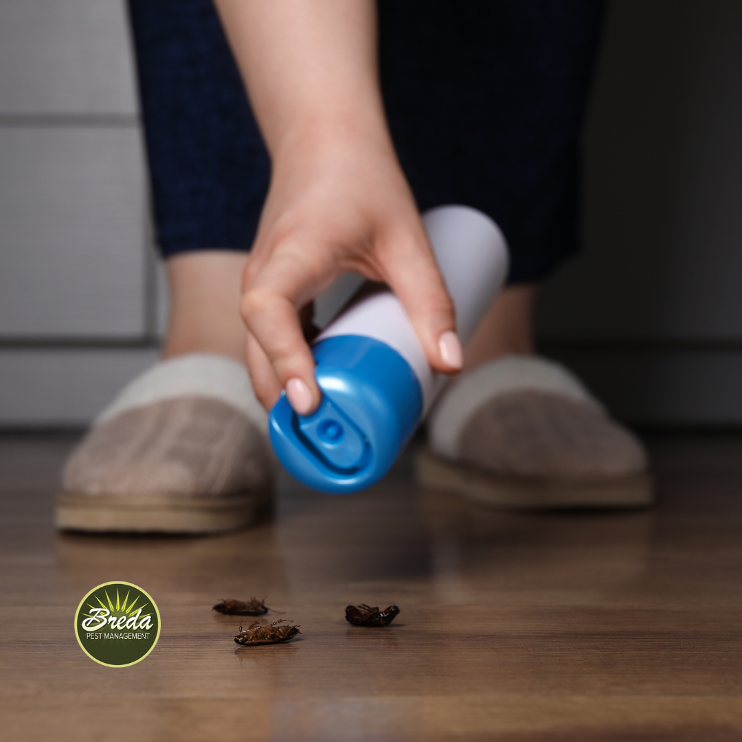 woman spraying roaches on the floor with bug spray diy pest control