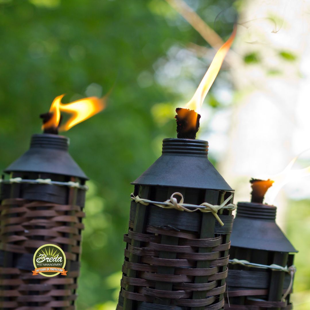 citronella tiki torches in backyard mosquito control metro Atlanta