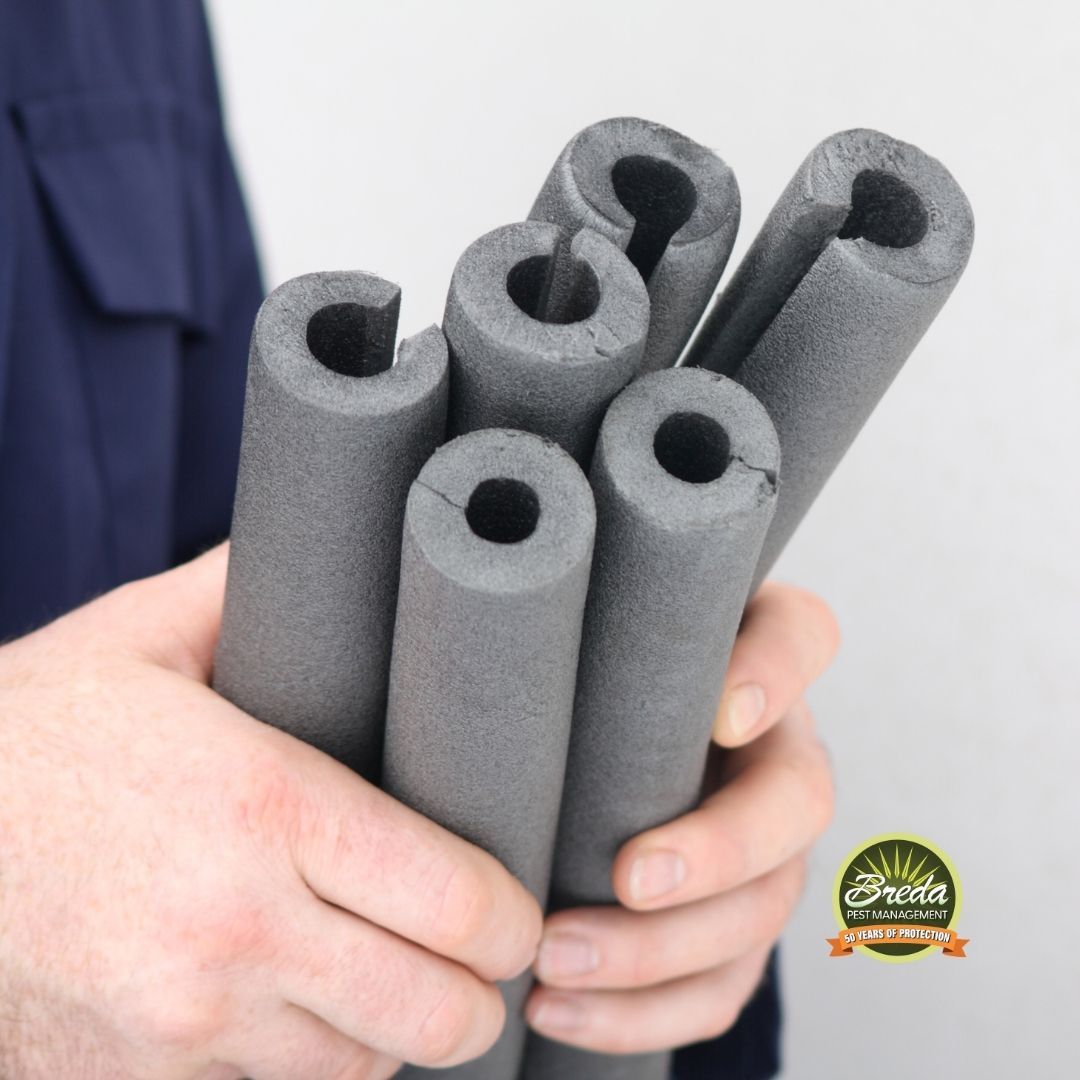 pipe insulation to protect condensation buildup hidden moisture pest problems in Georgia