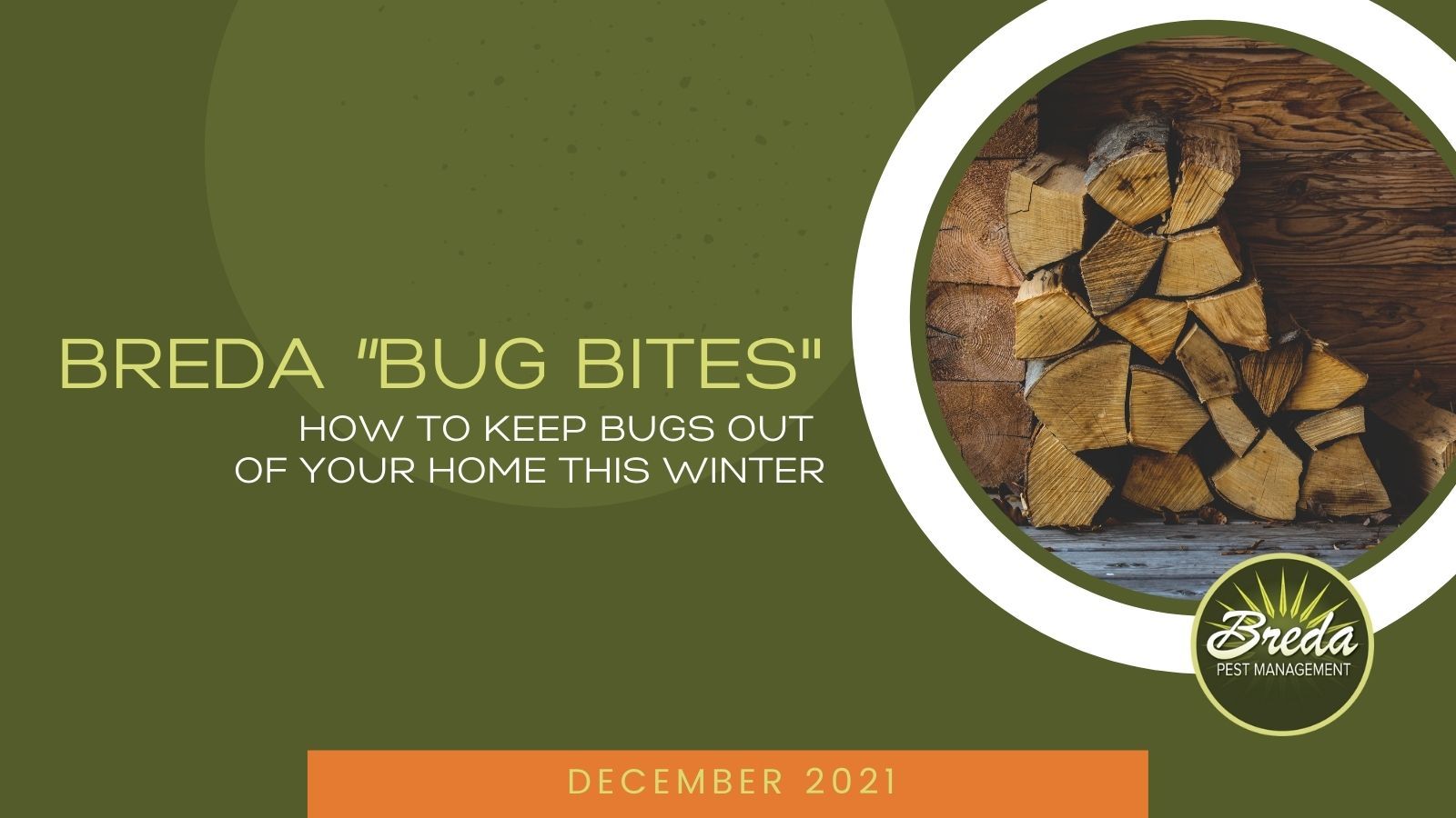 breda offers pest prevention services in atlanta during the winter season