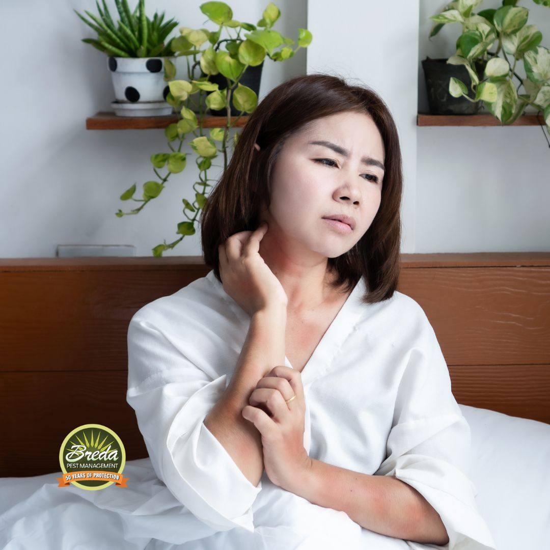 woman itching skin after being bit by bed bugs Thanksgiving travel