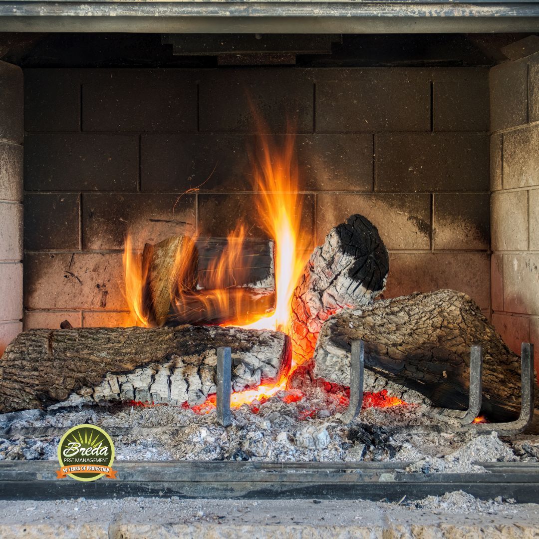 fire in an indoor fireplace firewood pests in Atlanta