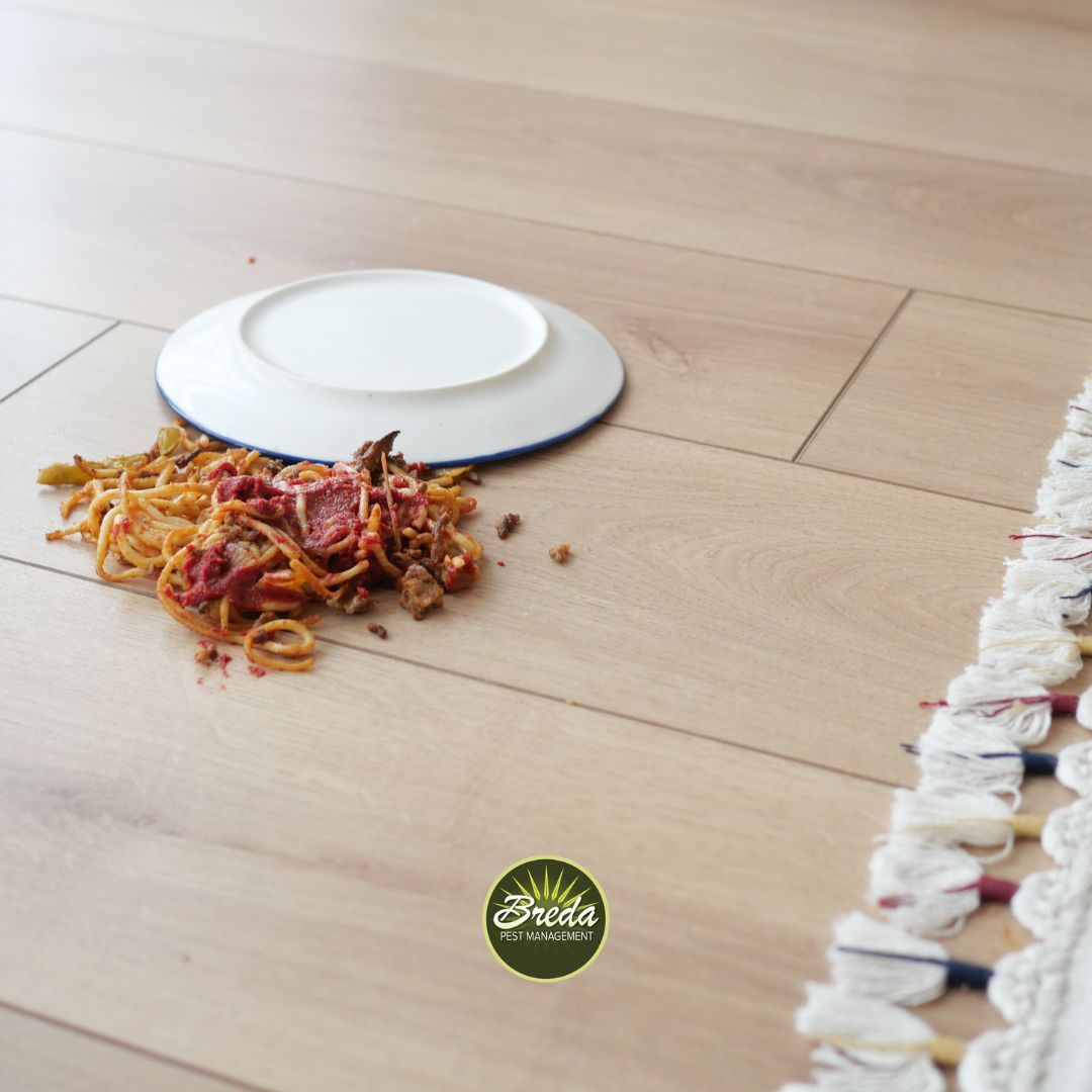 spilled plate of food on the floor preventing cockroach infestation in Atlanta