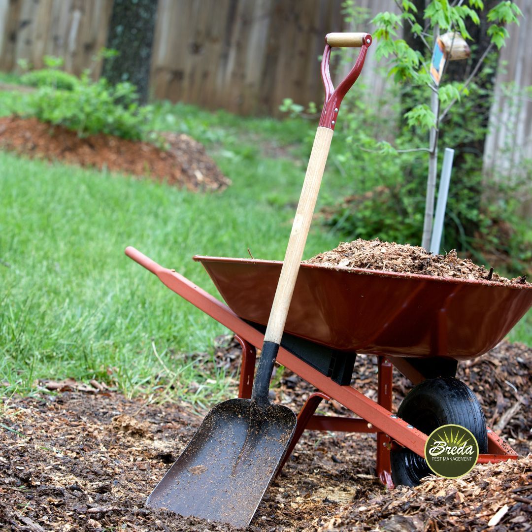 wheelbarrow full of mulch in a backyard backyard mosquito control in Atlanta GA
