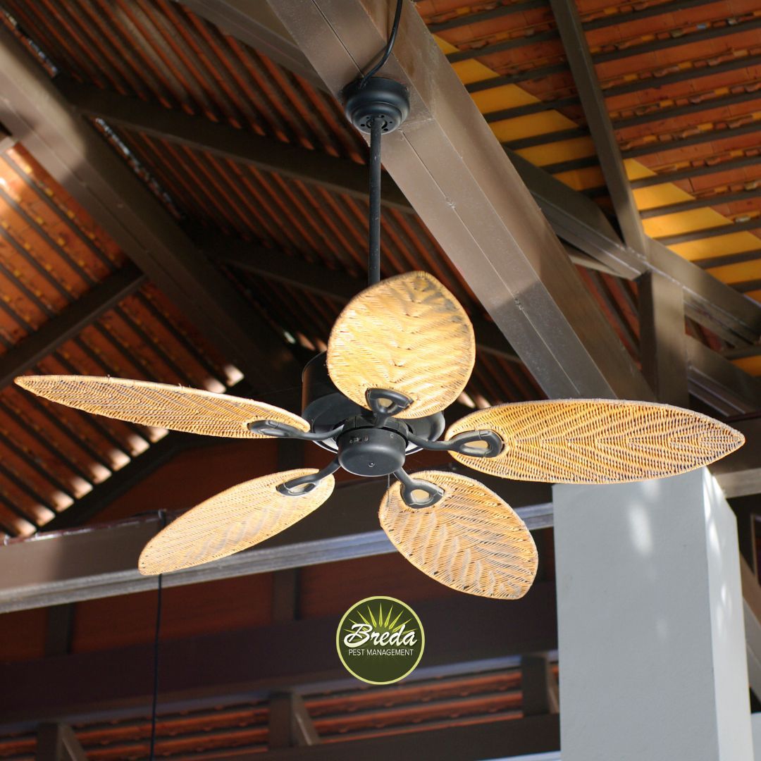 Outdoor ceiling fan mosquito control