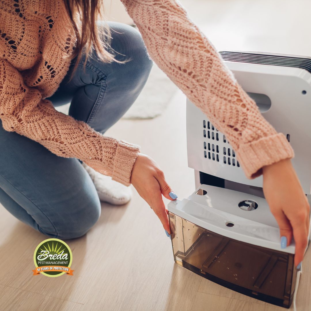 woman emptying a dehumidifier water tank