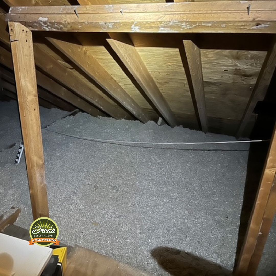 brand new attic insulation installed by BREDA Pest Management in a Georgia home attic