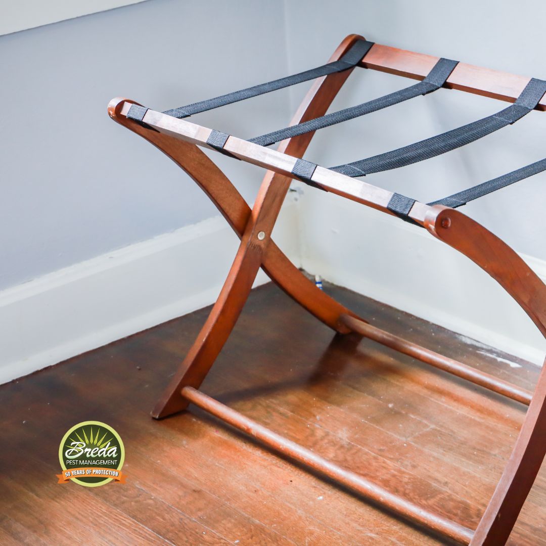 luggage rack elevate luggage Thanksgiving pest control