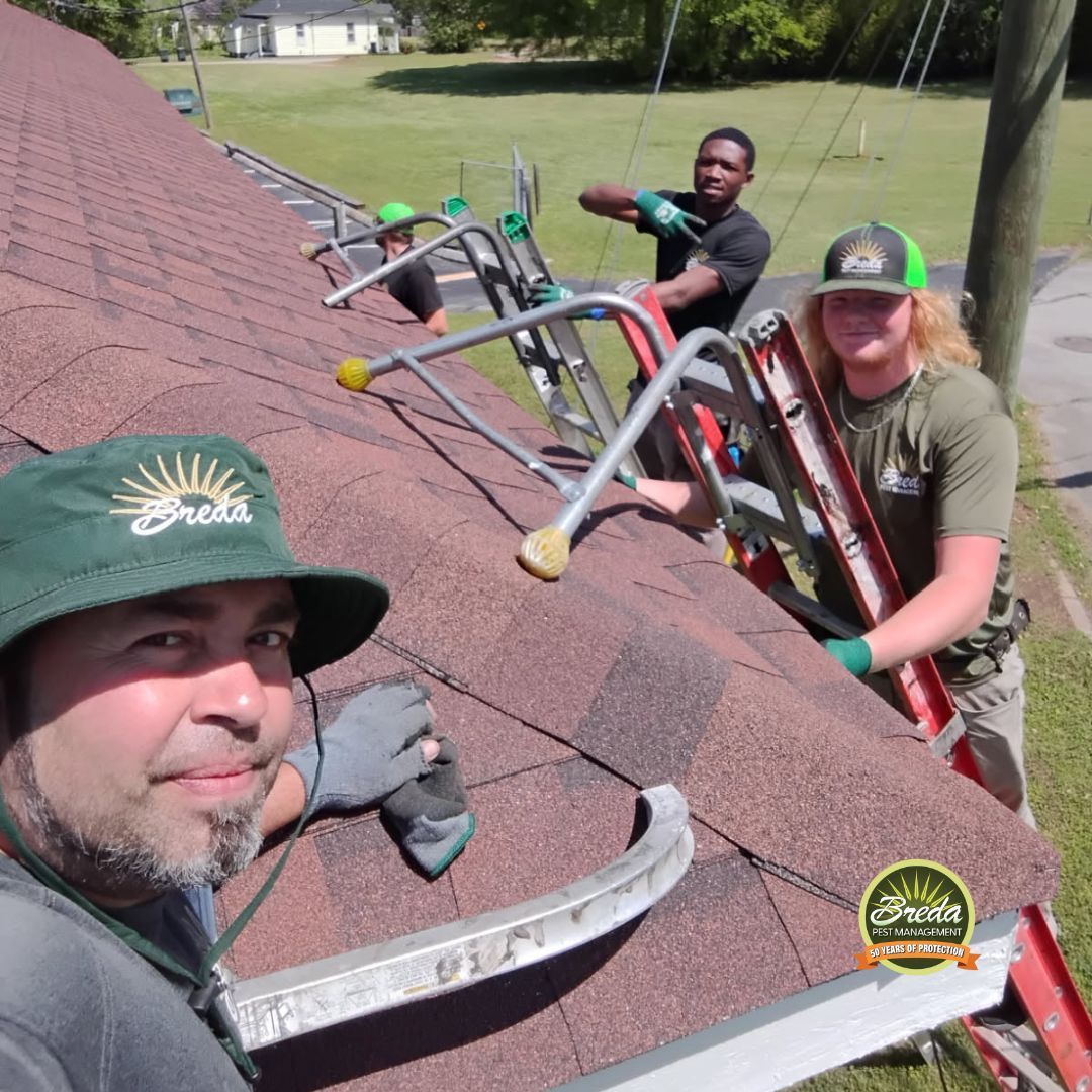 BREDA wildlife technicians inspect Georgia roof for pest entry point